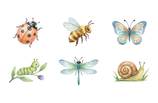Watercolor Spring Insect Icons Collection on White Background
