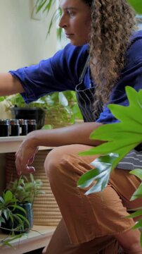 Vertical video: Crouching person tidying plants on shelf by window, aligning amber jars, apron