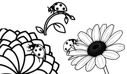 Fototapeta premium Ladybug Crawling Across Flower Petals Black and White Line Art Vector