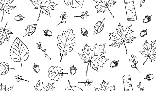 Minimalist autumn leaves and acorns seamless vector pattern with black line art on white background
