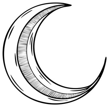 Hand drawn crescent moon illustration, etched design