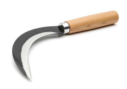 Garden sickle curved blade wooden handle isolated on white background tool