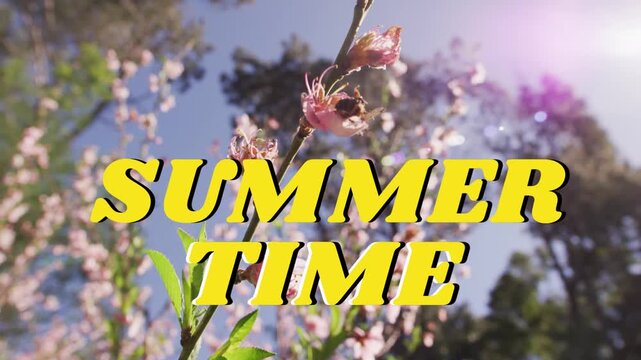 SUMMER TIME title staying fixed, camera tilting revealing blossom, bee landing, flare for marketing
