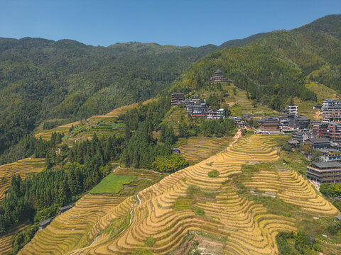 Terraced field in Longsheng Guilin China