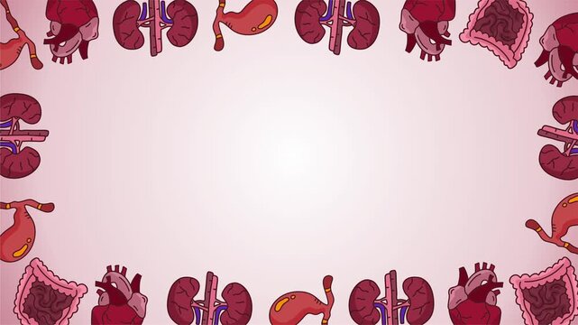 border frame featuring variety of human internal organs and parts