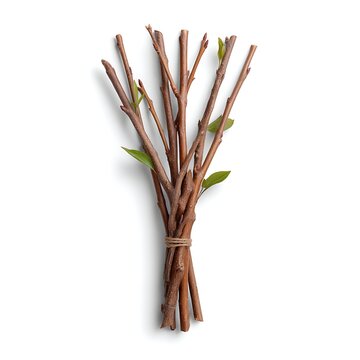 Bundle of Natural Sticks with Green Leaves Tied Together for Craft or Decoration Use