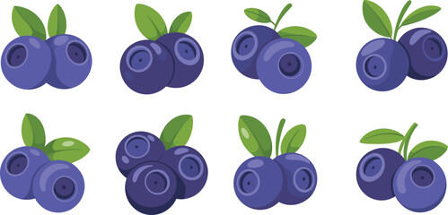 Blueberry fruit set illustration, fresh organic berry collection, healthy antioxidant food icons, natural vegan ingredient, farm produce, flat vector design © LatifunNahar
