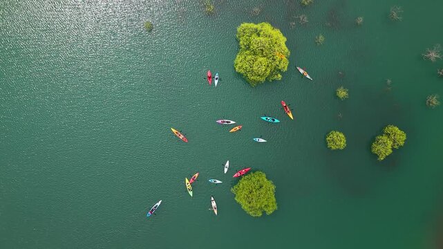 雪解け水で水没した木の回りをカヌーで巡るのは白川湖の水没林