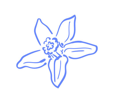 Cute vanilla flower in hand drawn minimalist style. Whimsical floral icon as soft blue line doodle. Simple flower element as calm background for cafe menu, wedding card or cozy social media stories