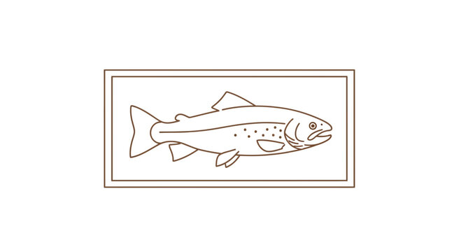 Line art illustration of a salmon fish inside a rectangular frame, simple design