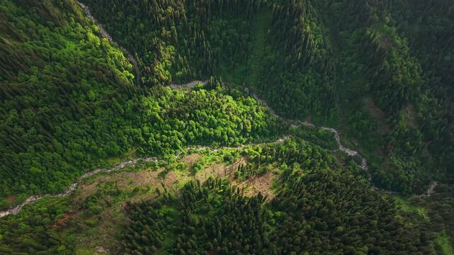 Drone shot over dense green forest and winding river in mountain valley, Sar Pass Himachal Pradesh
