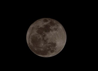 Fototapeta premium moon in the night sky