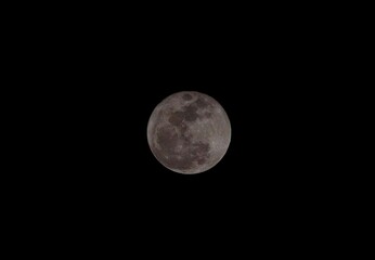 Naklejka premium full moon in the night