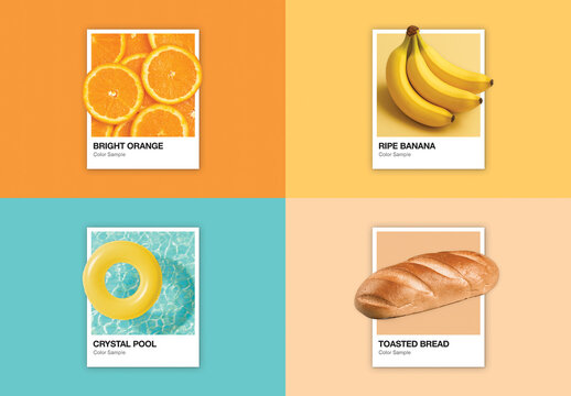 Pantone Color Card Mockup Template, Color Swatch Palette Sample for Brand Guide Presentation