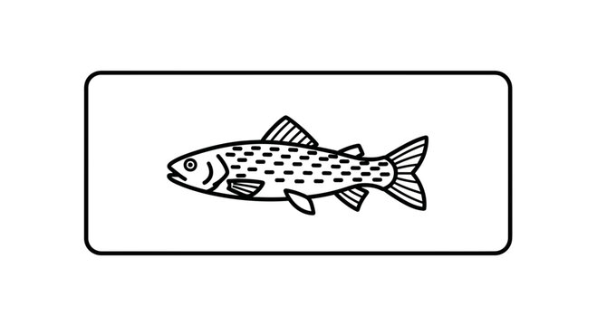 Simple Line Art Illustration of a Speckled Trout Fish