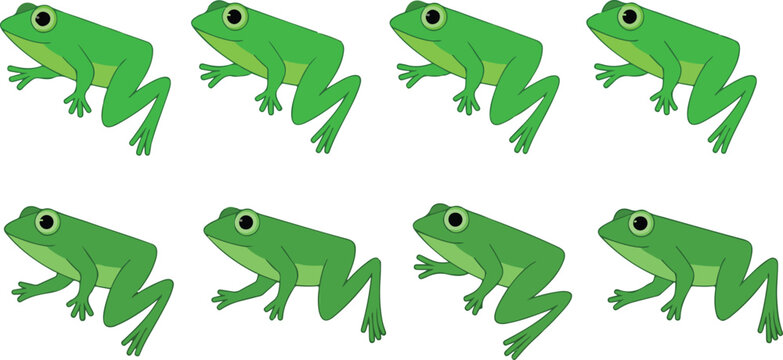 Cartoon frog jumping poses set with green amphibian character animation sequence in dynamic movement isolated on white background