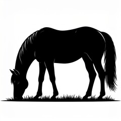 Fototapeta premium Black silhouette of grazing horse at sunset on grassy field