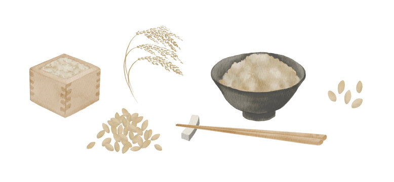 日本の米食文化セット - 米俵、稲穂、ご飯、玄米食、箸、米粒の水彩イラスト300dpi
