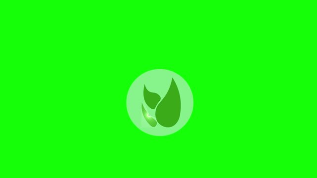Animated text "BACK TO NATURE." Nature-themed text animation video. Text icon with leaf image. Transparent background.