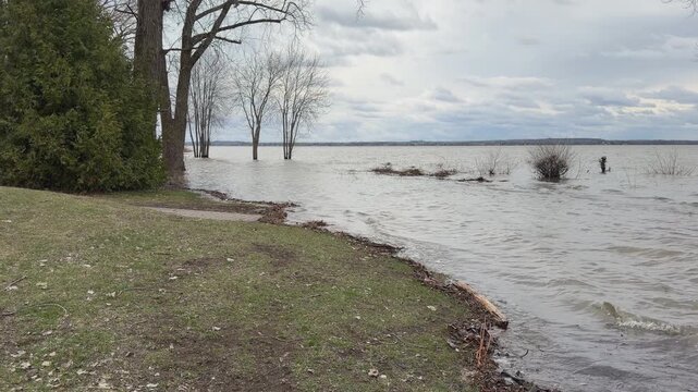 Flooding landscape showing rising water levels encroaching on grassy shoreline with trees partially submerged in a serene natural setting