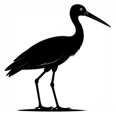 Fototapeta premium Black stilt bird standing on wetland shore in minimalist silhouette