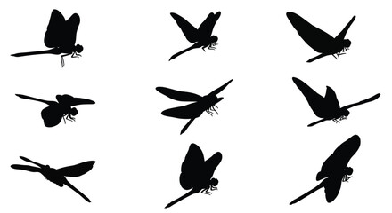 Nine dragonfly silhouettes in various flight poses a striking composition silhouette © Bismillahadobe