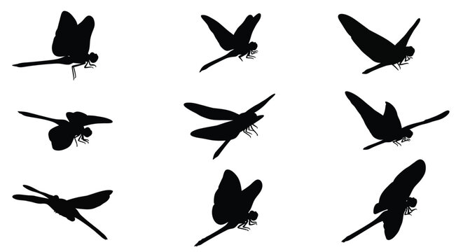 Nine dragonfly silhouettes in various flight poses a striking composition silhouette