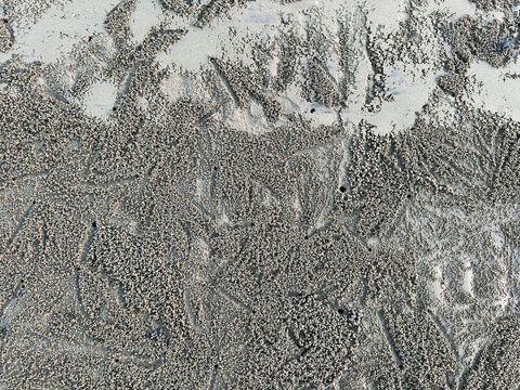 Intricate patterns of tiny sand bubbles and burrows created by sand bubbler crabs form a natural, abstract texture on a tropical shoreline at low tide.