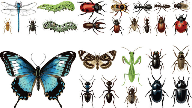 Insects and bugs collection with butterfly beetle ant caterpillar dragonfly and mantis detailed vector illustration set isolated