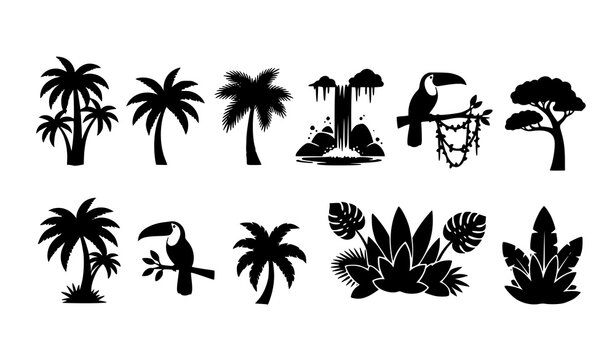Jungle silhouette vector set with tropical trees toucan waterfall and vines isolated on white background