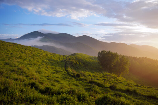 Beautiful mountain landscape with green grass and misty hills in the distance