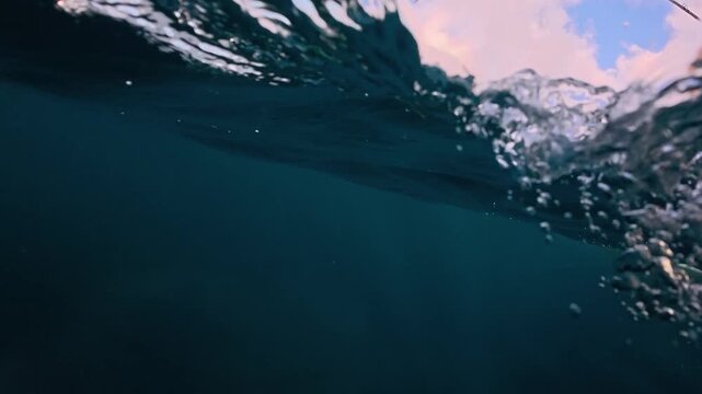 Commercial fisherman gaffs a yellowtail in Mexico off of a panga