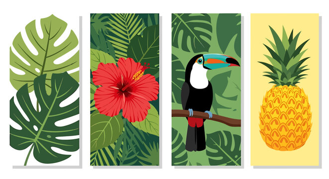 Tropical jungle elements with toucan pineapple and flowers in colorful vector illustrations