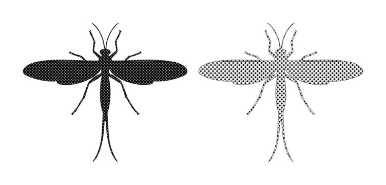 Mayfly insect silhouette vector set, black dragonfly fly fishing lure icons, aquatic ephemeroptera bug illustration for nature and biology design