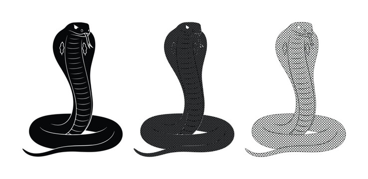 King cobra snake vector silhouettes, black and grey serpent icons set, aggressive hooded cobra reptile graphics for logo design and tattoo art