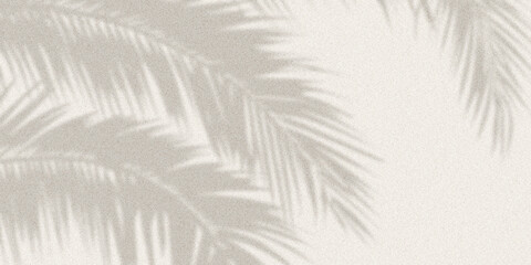 Soft shadow of tropical palm leaves cast on light textured wall, forming a calm natural abstract background with gentle contrast. © kartik
