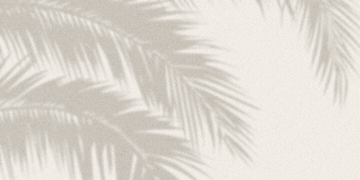 Soft shadow of tropical palm leaves cast on light textured wall, forming a calm natural abstract background with gentle contrast.