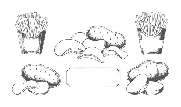 Hand drawn potato chips french fries and whole potatoes with label