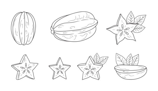 Hand drawn star fruit collection whole sliced and in bowl starfruit carambola tropical