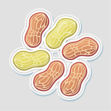 Stylized illustration of peanuts arranged in a circular pattern