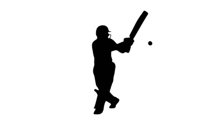 Black silhouette of a cricket player hitting a ball © Top vector 3