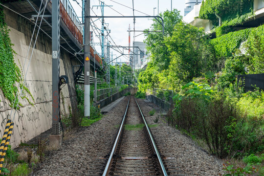 横浜みなとみらいの高架沿いを走る貨物専用線と街路樹の風景