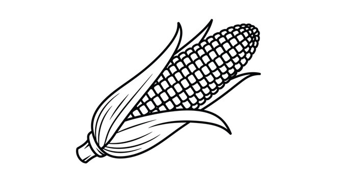 A detailed line drawing depicts a single ear of corn with husk