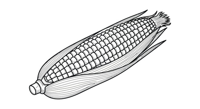 Detailed black and white illustration of a single ear of corn
