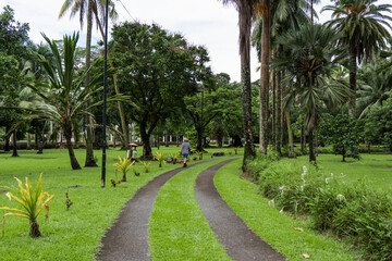 Obraz premium Man walking through a tropical garden in Suva, Fiji