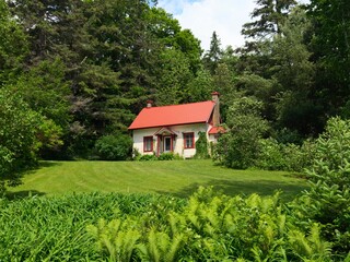Fototapeta premium Small charming cottage house with a bright red roof nestled inside a lush green forest