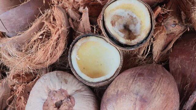 Pile Coconut husks are used to make fertilizer.