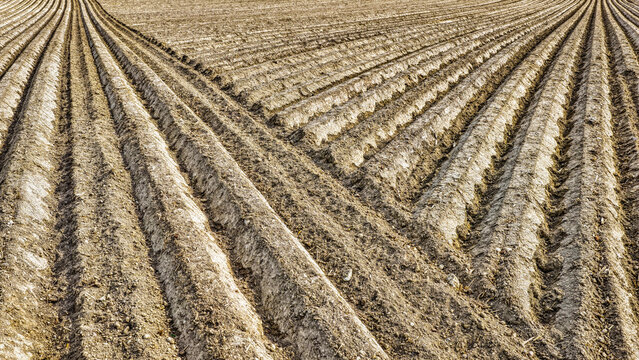 Abstrakte Feldstruktur aus der Vogelperspektive &ndash; landwirtschaftliche Linien und Texturen