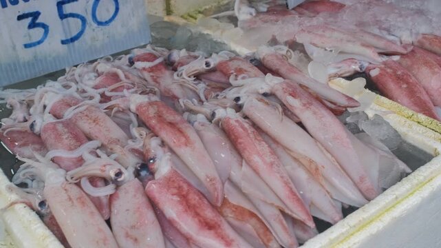 Fresh squid arranged on ice with Thai language label indicating calamari at street market counter. Coastal seafood selling concept