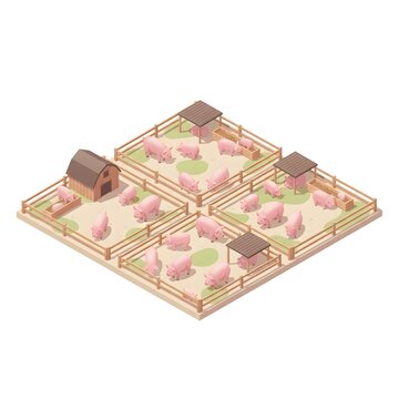 Isometric Swine Farm View Minimalist Vector Illustration